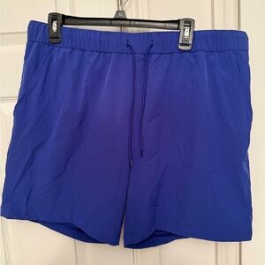 Target Royal Blue Men's Nylon Shorts
